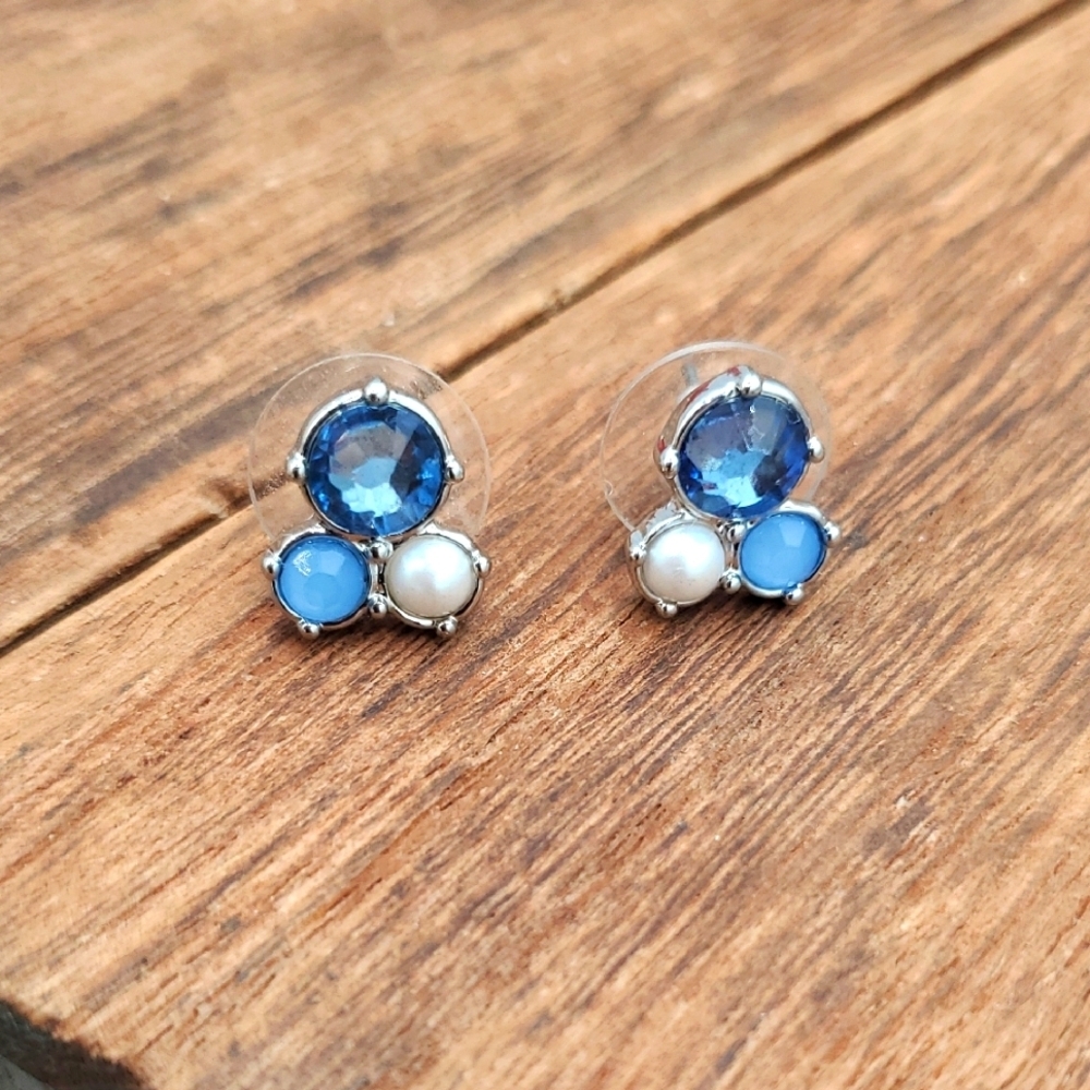 Elegant Blue and Silver Stud Earrings E1024